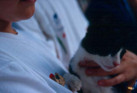 Candeleda (Avila) 1995. .jpg