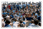 1983-113bis